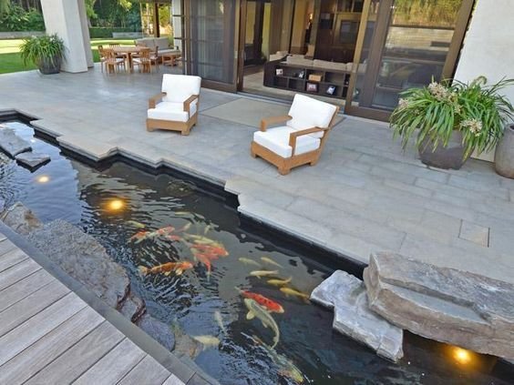Desain Kolam Ikan Sederhana
